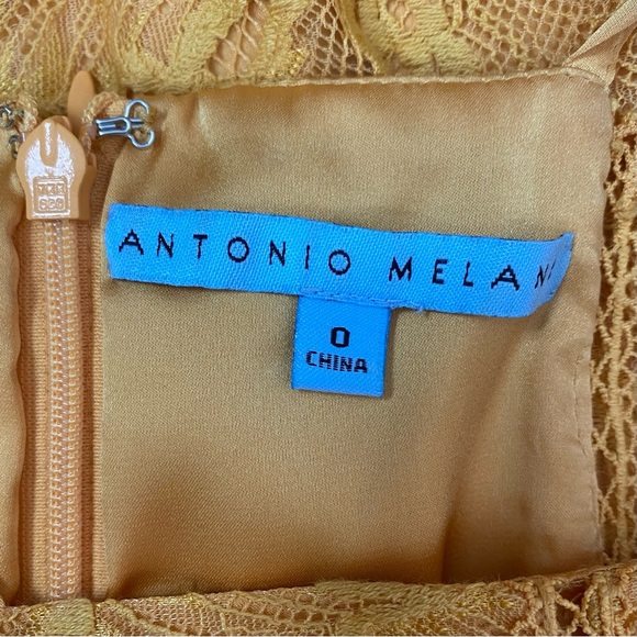 Antonio Melani Heinrich Lace Midi Dress Size 0 - Picture 8 of 10